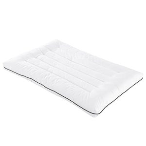 Ultra Thin Flat Bed Pillow for Stomach and Back Sleepers, 100% Cotton Shell, Queen Size, White, 100% Down Alternative