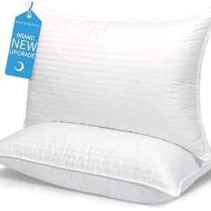 COZSINOOR Queen Size Hotel Quality Bed Pillows - Down Alternative Microfiber Fill