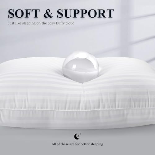 31p8dzaqx4l.jpg COZSINOOR Queen Size Hotel Quality Bed Pillows - Down Alternative Microfiber Fill