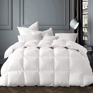 Globon Winter White Goose Down Comforter King Size | Ultra Soft Noiseless White Goose Down Duvet Insert | Globon 80