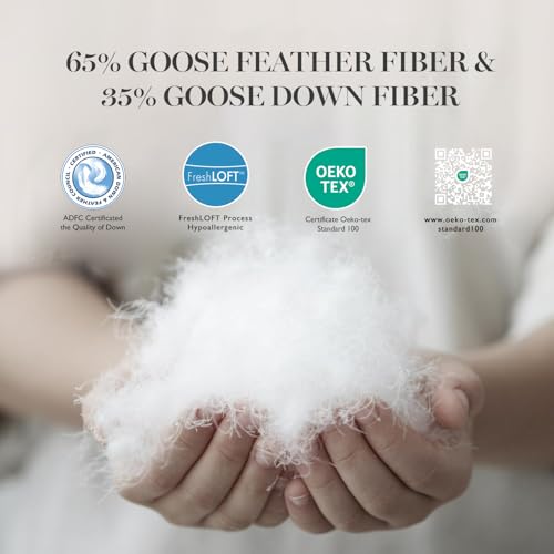 4183cvnub8l 1.jpg Martha Stewart White Goose Feather Down Fiber Queen Size Comforter - All Season Duvet Insert with 8 Corner Loops