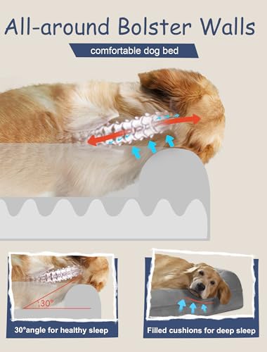 41bjwjc4nol.jpg Orthopedic Washable Dog Bed for Extra Large Dogs Orthopedic Washable Dog Bed for Extra Large Dogs with 4 Bolster Sides O