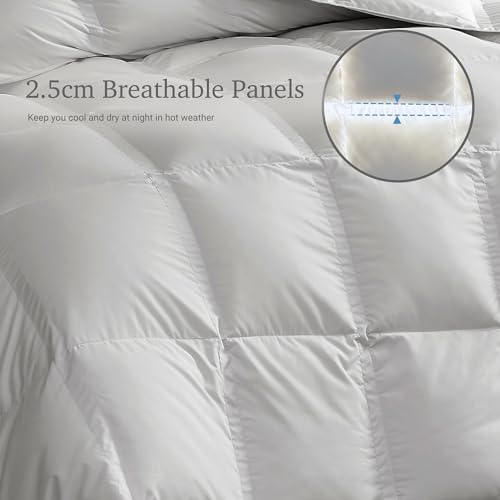 41cspyv6icl.jpg Grand White Goose Down Fiber Comforter Queen Size Luxury Hotel Collection Summer Sleepingecessory