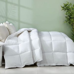 DREAMHOUR Cooling Down Comforter for Girls and Boys, All Season Machine Washable, Queen Size, White Soft Breathable P