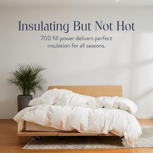 41hrkwgytdl 1.jpg Brooklinen All Season Luxury Down Comforter for Comfort and Warmth - Baffle Box Construction King/Cali King Size Comf