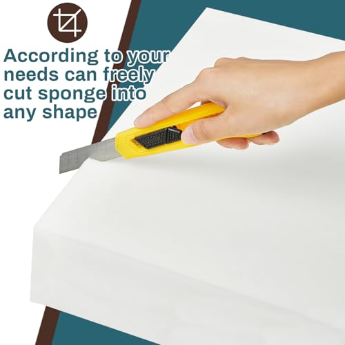 41inb5usoll 1.jpg Frienda Extra Thick High Density Foam Cushion Replacement 2 Pack Square Cut to Size Couch or Commercial Dining Chair Pad