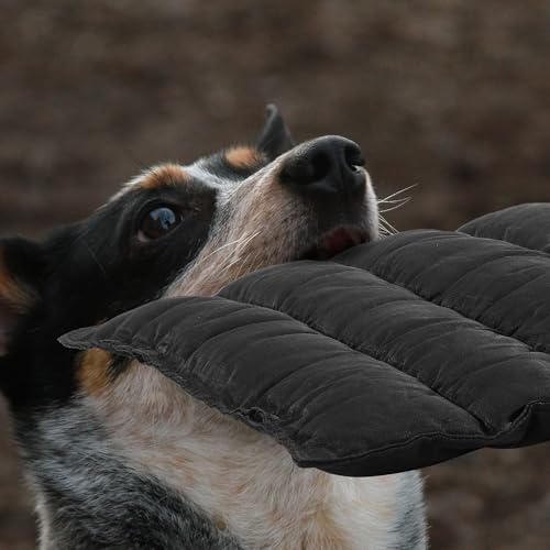 41kgnotpc7l 1.jpg Portable chew proof dog bed for aggressive chewers | Waterproof outdoor travel camping dog bed | Durable foldable m