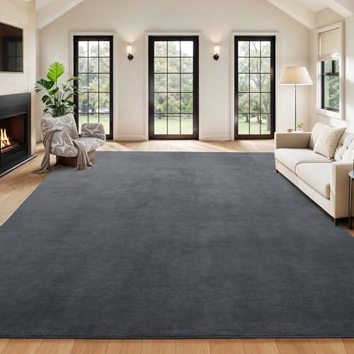 41kyaaq0a7l 1.jpg HOMBYS 12x15ft Large Area Rug for Living Room - Fluffy Soft, Non-Shedding Floor Carpet with Non-Slip Backing - Indoor Of