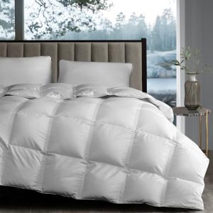 Grand White Goose Down Fiber Comforter Queen Size Luxury Hotel Collection Summer Sleepingecessory