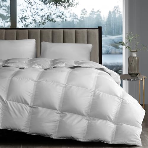 41lr6io0qil.jpg Grand White Goose Down Fiber Comforter Queen Size Luxury Hotel Collection Summer Sleepingecessory