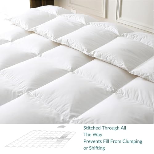 41odfg9b3l.jpg BPC Queen Size Feather Comforter - Fluffy and Luxurious All Season Duvet Insert | BPC Queen Size Feather Comforter -