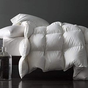 Royoliving Premium Feathers Down Duvet Insert Comforter for King Size All Season Use Medium Warmth White Curtis Cover wi