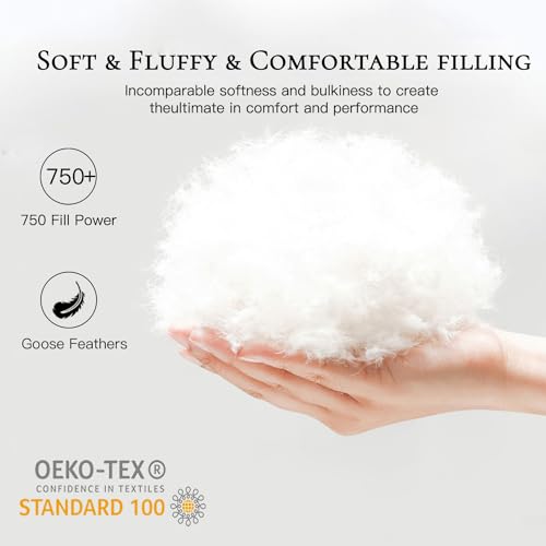 41s0q 6t2l 1.jpg BedTreat Premium Goose Feather Down Comforter for Queen Size, Fluffy & Soft | BedTreat All Seasons Queen Size Down D
