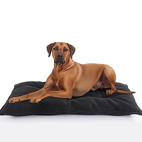 41vjtva9g9l 1.jpg MABOZOO Chew Proof Indestructible Dog Beds for Aggressive Chewers, Durable and Washable, Black, M 18x29 in | MABOZOO