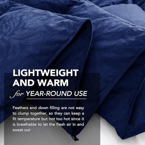 41xa1woyxjl 1.jpg Dreamhood Luxury 90% Goose Feathers Comforter King Size for All Season, Perfect for Couples with Retro Decoration and Me