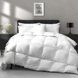 APSMILE Ultra-Soft Down Feather Fibers King Comforter - White