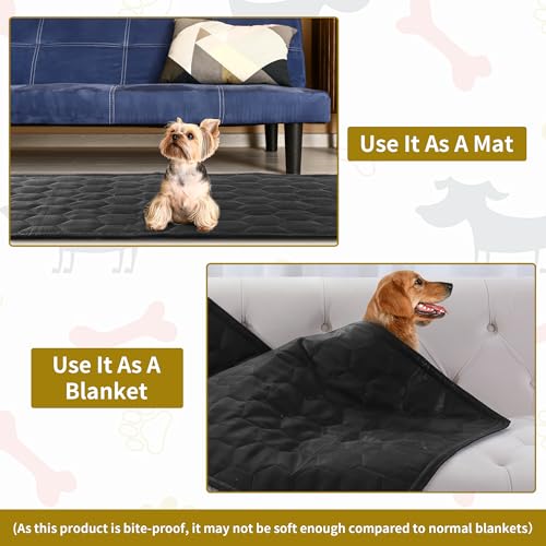 41yhgjiro3l.jpg Indestructible HOMBYS Chew Proof and Waterproof Dog Blanket Protects Furniture and Cars from Scratches and Teeth | Q