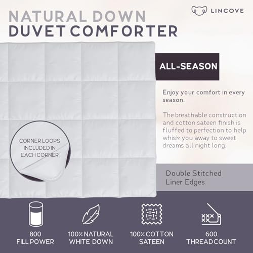 41zps8tmsdl.jpg Lincove European Down Comforter King Size - Breathable, Ultra-Soft & Fluffy, All Season Duvet Insert with Corner Tabs