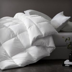 Downluxe Luxurious Down Comforter Queen Size with Premium Fabric Downluxe All Seasons Medium Warmth Duvet Insert Queen