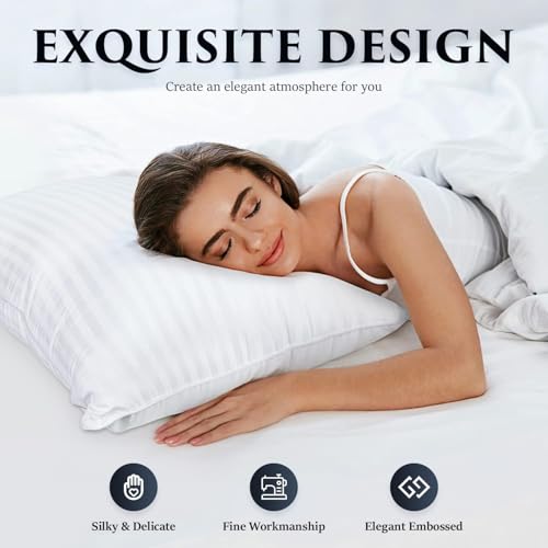 41apyrclpyl.jpg COZSINOOR Queen Size Hotel Quality Bed Pillows - Down Alternative Microfiber Fill