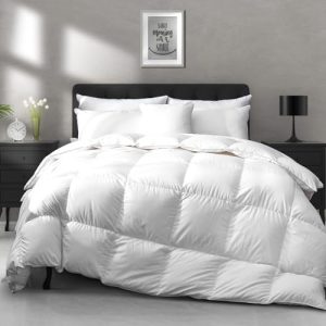 APSMILE Lightweight Cooling Bed Comforter King Size - High Fill-Power Thin Duvet Insert for Hot Sleepers, 106x90, White