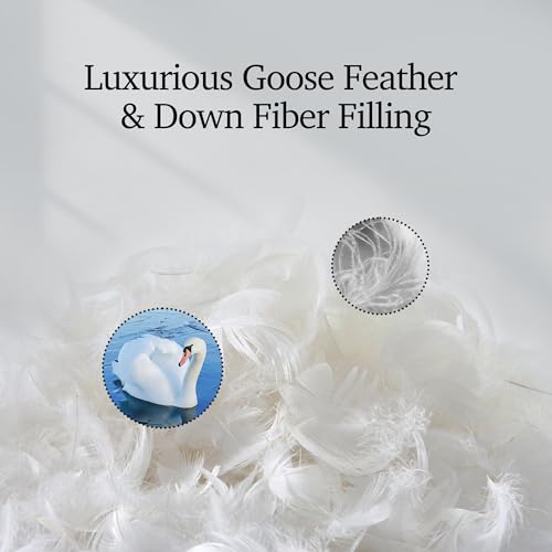 41d7eiktuxl 3.jpg Luxury White Goose Feather Down Comforter Full Queen Size, 100% Cotton All Season Duvet Insert Queen, Medium Warmth Bedd