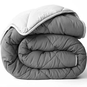 ViscoSoft Microfiber All Seasons Down Alternative Quilted Comforter, Light Gray/Dark Gray, Full