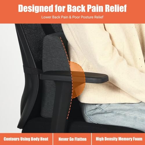 41ffeoo2z1l.jpg HOMBYS Recliner Lumbar Support Pillow with Adjustable Slider
