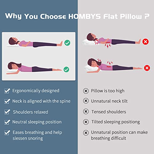 41g93iskll.jpg HOMBYS Thin Stomach Sleeper Bed Pillows for Slim Figures | Extra Low Profile Stomach and Back Sleepers Pillow from H