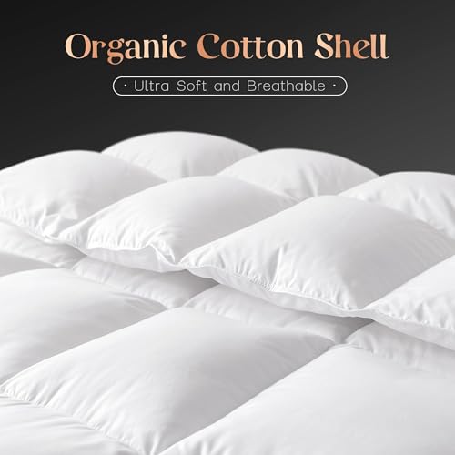 41hrga8ivsl.jpg Cosybay Fluffy Feather & Down Comforter Queen Size for All Season Luxury Sleep White