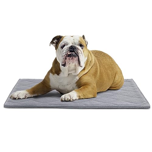 41jelbtd3l.jpg Indestructible HOMBYS Chew Proof Dog Crate Pad Mat, Durable and Water Resistant Teething Puppy Crate Mats for Aggress
