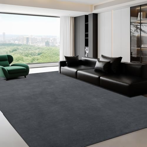 41pllbpcrnl 1.jpg HOMBYS 12x15ft Large Area Rug for Living Room - Fluffy Soft, Non-Shedding Floor Carpet with Non-Slip Backing - Indoor Of