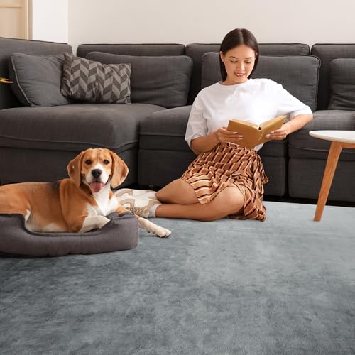 41sp4rfp5zl 2.jpg HOMBYS 12x15ft Large Area Rug for Living Room Bedroom HOMBYS 12x15ft Fluffy Soft Floor Carpet with Non-Slip Backing for