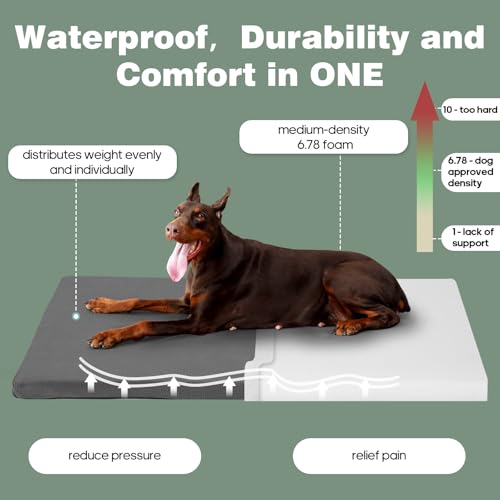 41tu 8x1vll 1.jpg Durable Outdoor Waterproof Dog Bed up to 25 lbs for Puppies and Chew Resistance | Durable Outdoor Waterproof Dog Cra