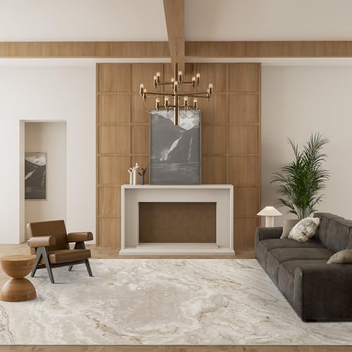 41tr9ho18cl 2.jpg HOMBYS 10x14ft Modern Marble Area Rug for Living Room Bedroom HOMBYS 10x14ft Large Abstract Floor Carpet for Indoor Of