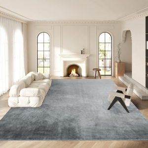 HOMBYS Large Area Rug for Living Room & Bedroom - Fluffy Soft, Non-Slip Backing, Solid Home Deco, Grey, Machine Washa