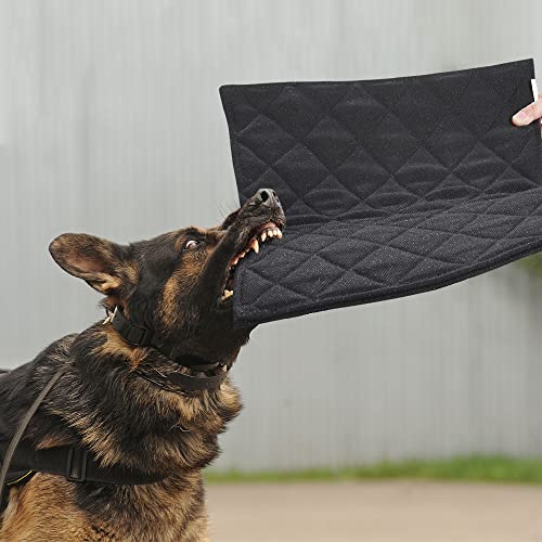 41ubrjyxwhl.jpg MABOZOO Indestructible Dog Bed, Chew Proof Crate Pad for Aggressive Chewers, Durable Black Kennel Pad (28x41 in) Machine