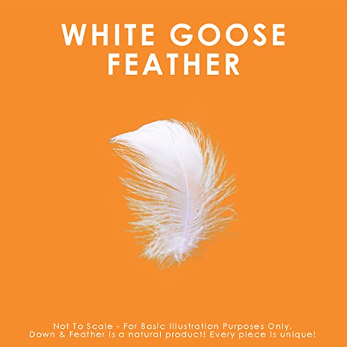 41vxskkaerl 1.jpg Canadian Down & Feather Co. All Season White Goose Feather Duvet Comforter for Queen Size - Soft & Warm - Oeko TEX Certi