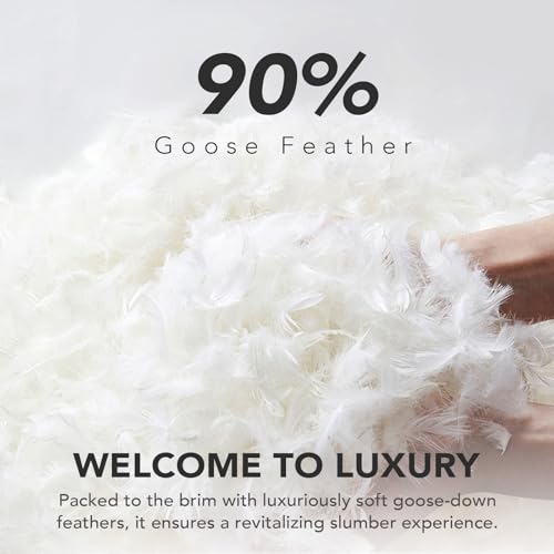 41vq4qvmmdl.jpg Dreamhood Luxury 90% Goose Feathers Comforter King Size - All Season Medium Warmth with 8 Corner Tabs (Navy, 106x90 Inch