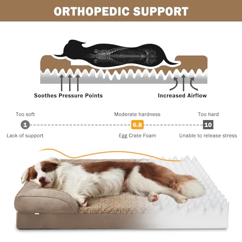 41w2k2mdu5l 1.jpg INVENHO Orthopedic Dog Beds for Large Size Dogs, XL Washable Dog Sofa with Egg-Crate Foam | INVENHO Orthopedic Dog B