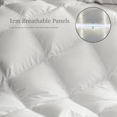 41xkn7fyhbl 1.jpg Grand White Goose Down Fiber Comforter Full Queen Size - All Season Fluffy Duvet Insert Queen Medium Warmth with 1cm Bre