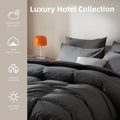41yk0ptmkzl 2.jpg Goose Feather Down Comforter Queen Size for All-Season Luxurious Sleep | 100% Organic Cotton Duvet Insert Queen Set