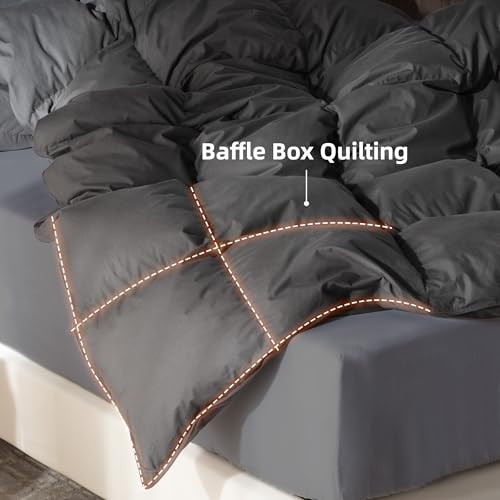 41zer1xabkl 2.jpg Goose Feather Down Comforter Queen Size for All-Season Luxurious Sleep | 100% Organic Cotton Duvet Insert Queen Set