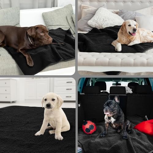 51 3sq8kjel.jpg Chewproof Dog Blanket for Dogs (Black, 28.3"x37.7") - Leak Proof Soft Furry Pet Blanket Couch Cover Protection for So