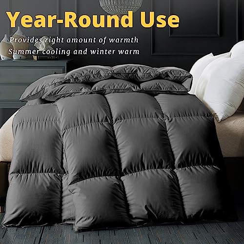 5181uibezl.jpg ELNIDO QUEEN Feather Down Fiber Comforter - All Season Grey Fluffy Duvet Insert for Luxurious Hotel Bedding | ELNIDO