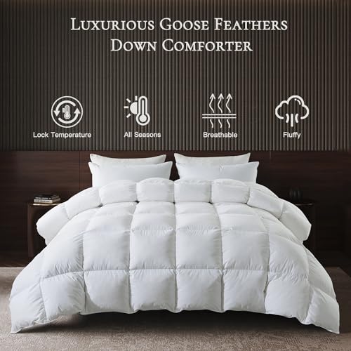 51b j16uohl 1.jpg BedTreat Premium Goose Feather Down Comforter for Queen Size, Fluffy & Soft | BedTreat All Seasons Queen Size Down D