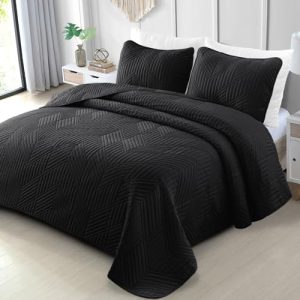 Exclusivo Mezcla California King Quilt Lightweight Black Bedding Set for Year-Round Comfort (1 Quilt and 2 Pillow Shams)