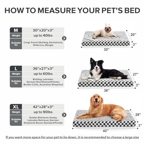51ftnqm0q5l 1.jpg JOEJOY Large Orthopedic Dog Bed for Large Dogs, Removable Washable Cover, Grey, 36 x 27 inch JOEJOY Cute Modern Plush