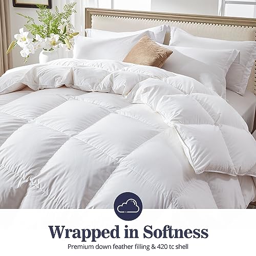 51kh7bd ell 1.jpg Globon Ultra-Soft Down Feather Comforter Queen Size for All Season Use Globon Ultra-Soft Down Feather Comforter Queen Si