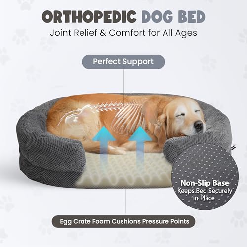 51lg9ynznql.jpg Orthopedic Dog Bed for Large Dogs, Washable and Soft with Anti-Slip Bottom (Grey) Washable Oval Dog Couch Bed with Sid